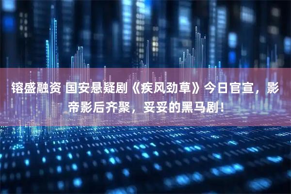 镕盛融资 国安悬疑剧《疾风劲草》今日官宣，影帝影后齐聚，妥妥的黑马剧！