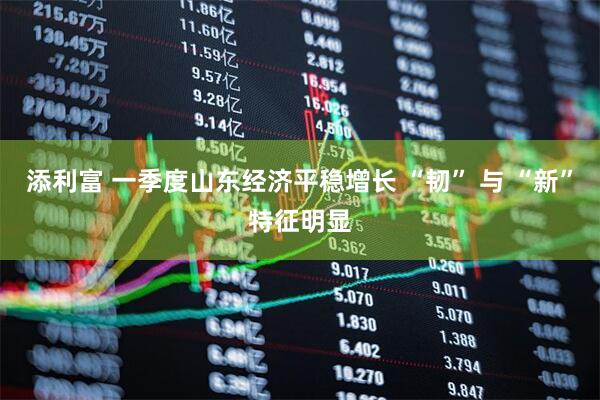 添利富 一季度山东经济平稳增长 “韧” 与 “新”特征明显
