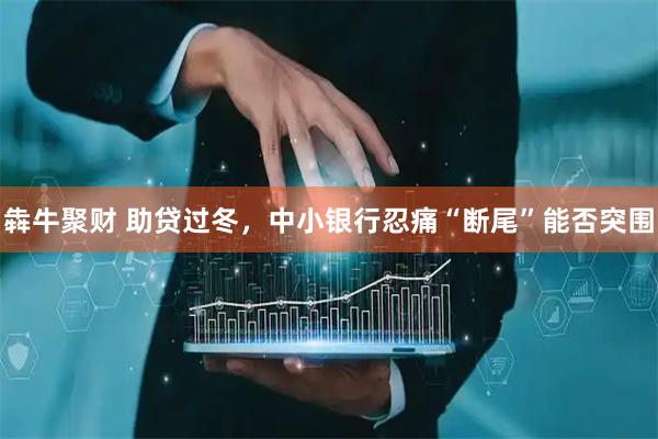 犇牛聚财 助贷过冬，中小银行忍痛“断尾”能否突围